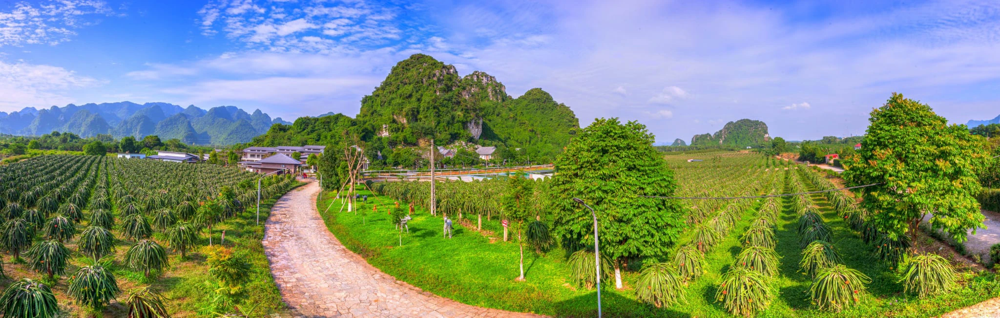 Sỏi Ecolodge