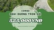 2N1Đ nghỉ dưỡng thả ga - Chill hơn xx lần ở nhà