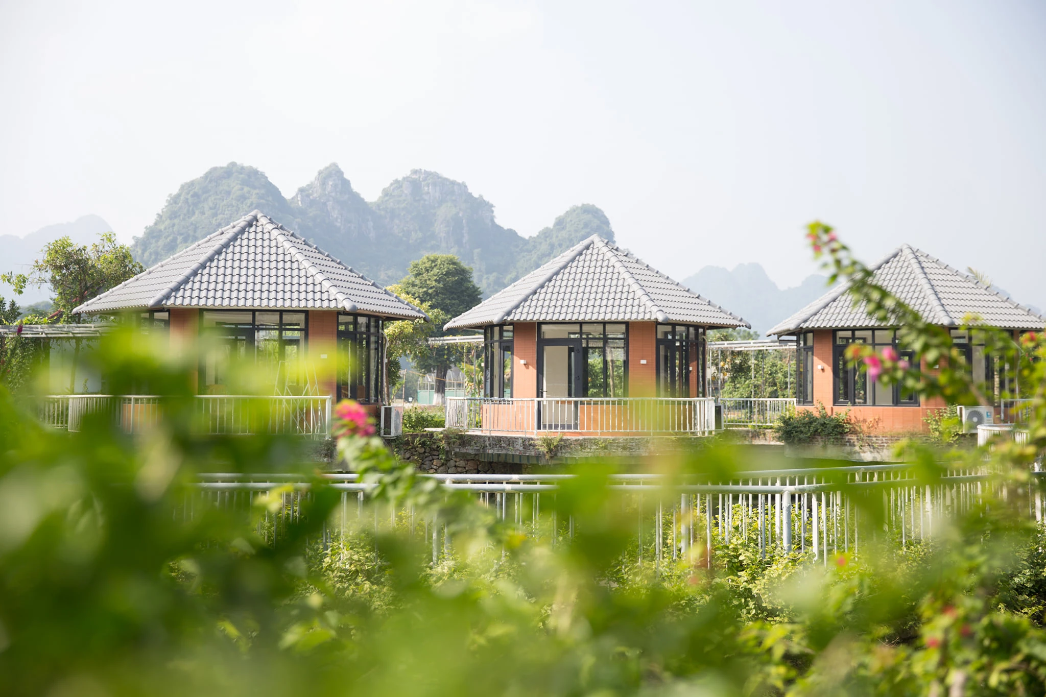 Chỉ số hạnh phúc của cư dân Sỏi