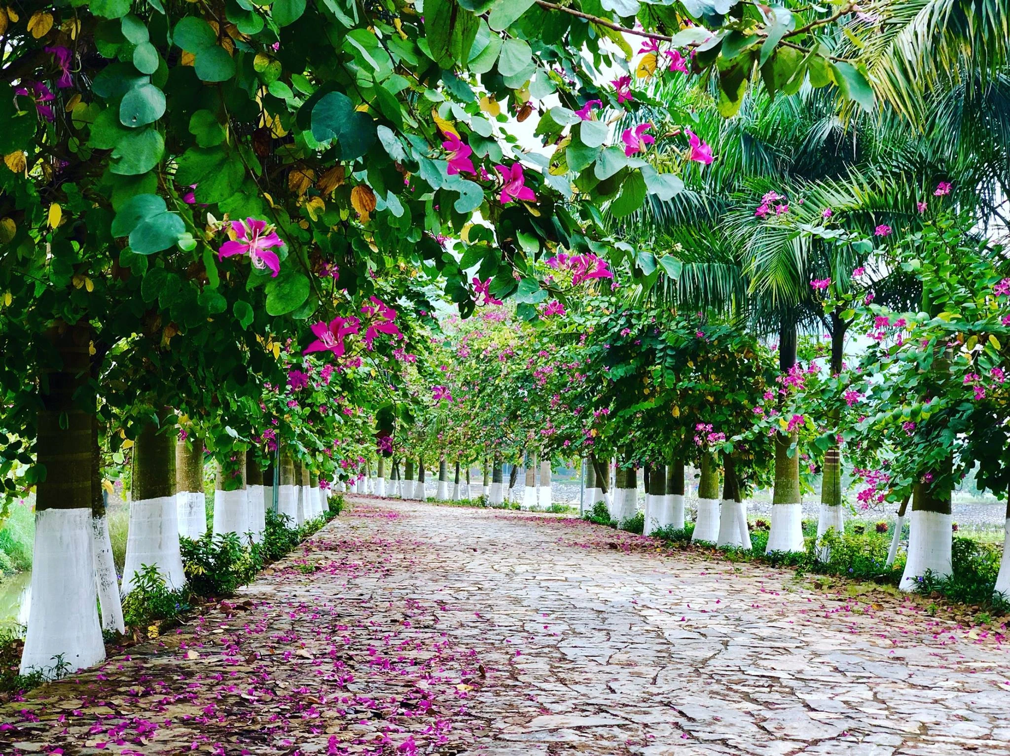 Sỏi Resort In Farm - Nơi thời gian lắng đọng