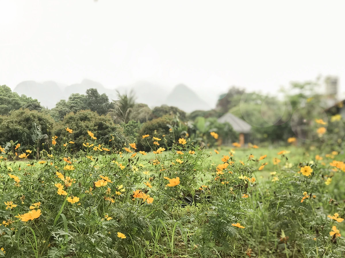 KÝ SỰ NGÀY LAO ĐỘNG CỦA SỎI