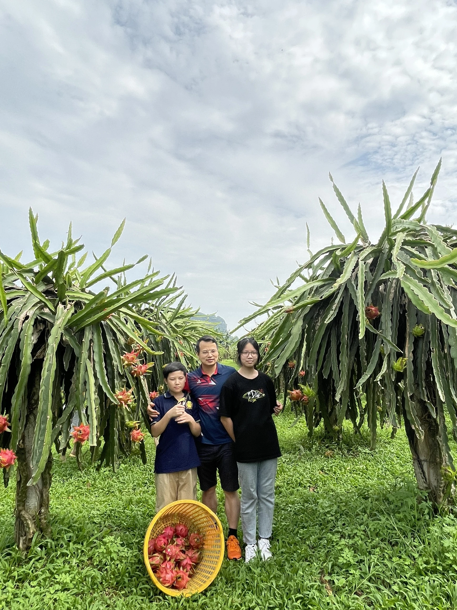 Trải nghiệm hái Thanh Long tại vườn Sỏi Eco Farm