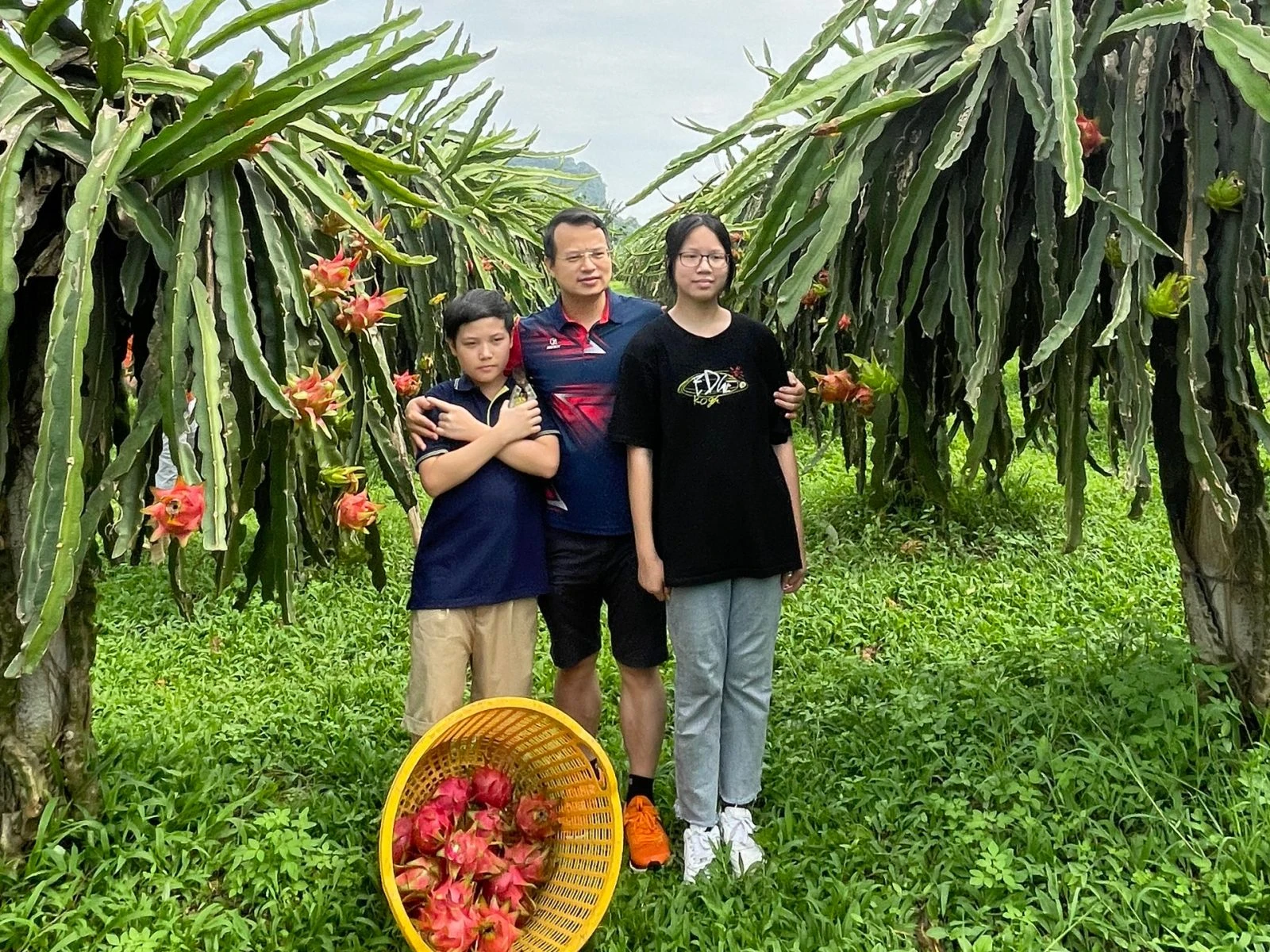 Những vị khách đến Sỏi và trải nghiệm hái Thanh Long tại vườn