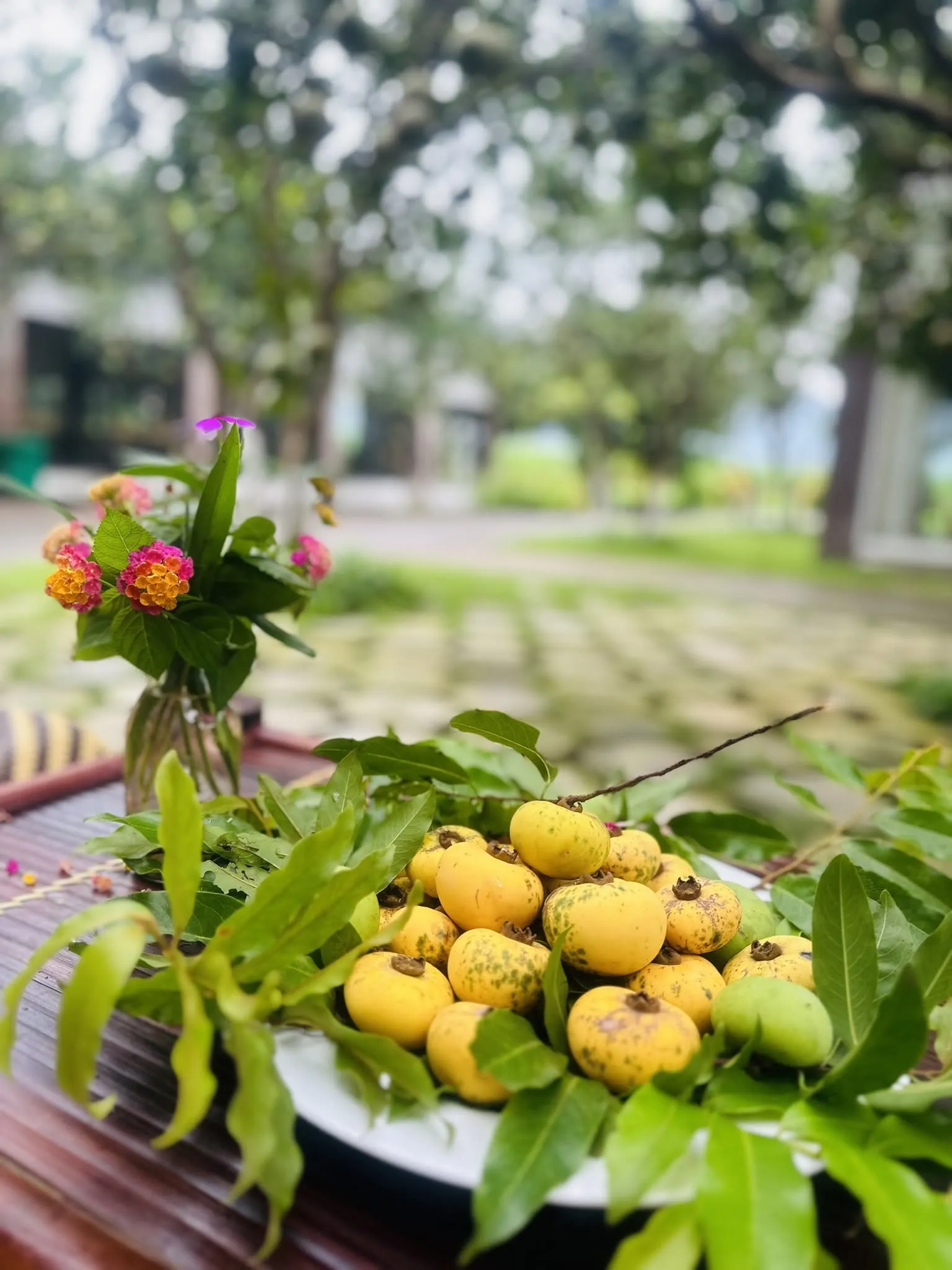 Hoa quả vườn Sỏi