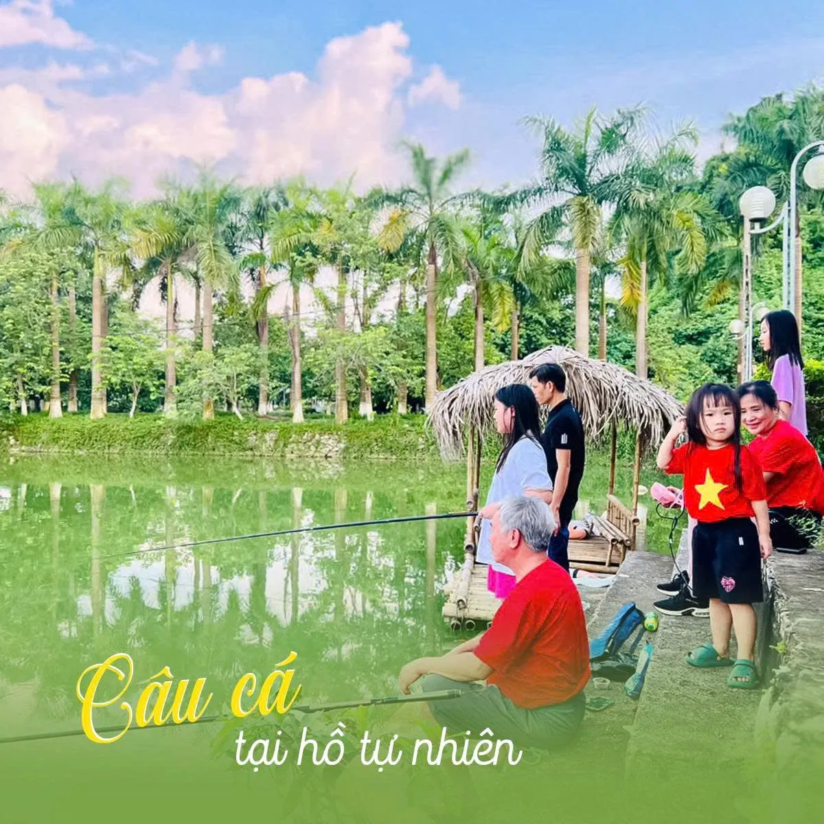 Câu cá