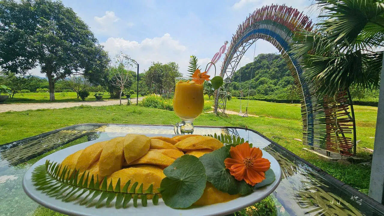 Nông nghiệp sạch 1