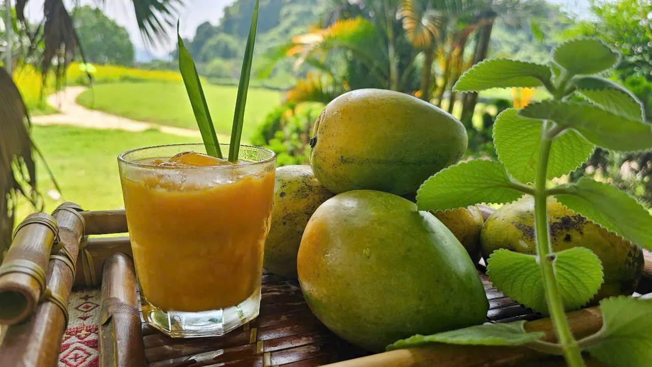 Nông nghiệp sach 6