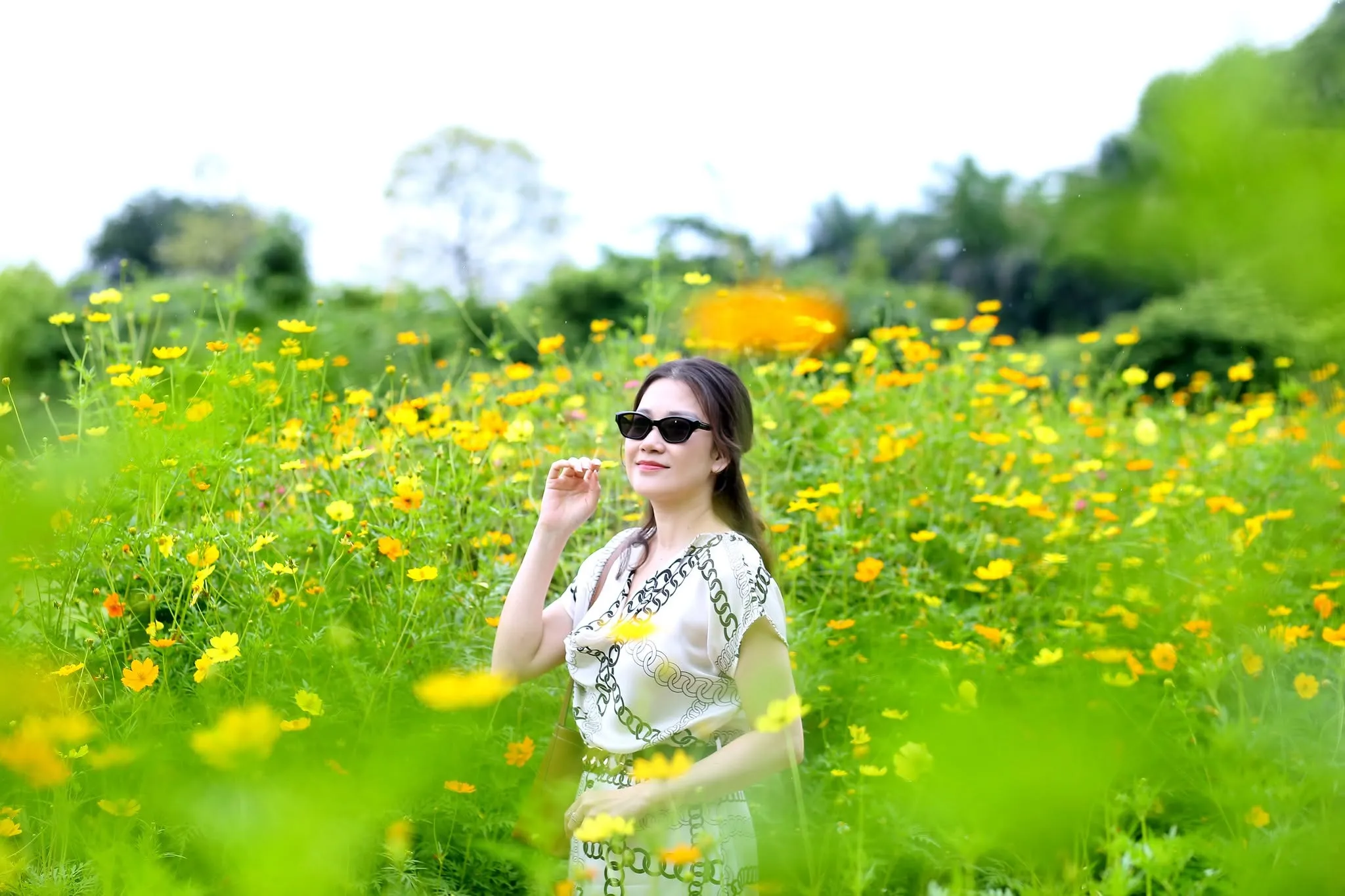 Sỏi mùa hoa Cánh Bướm