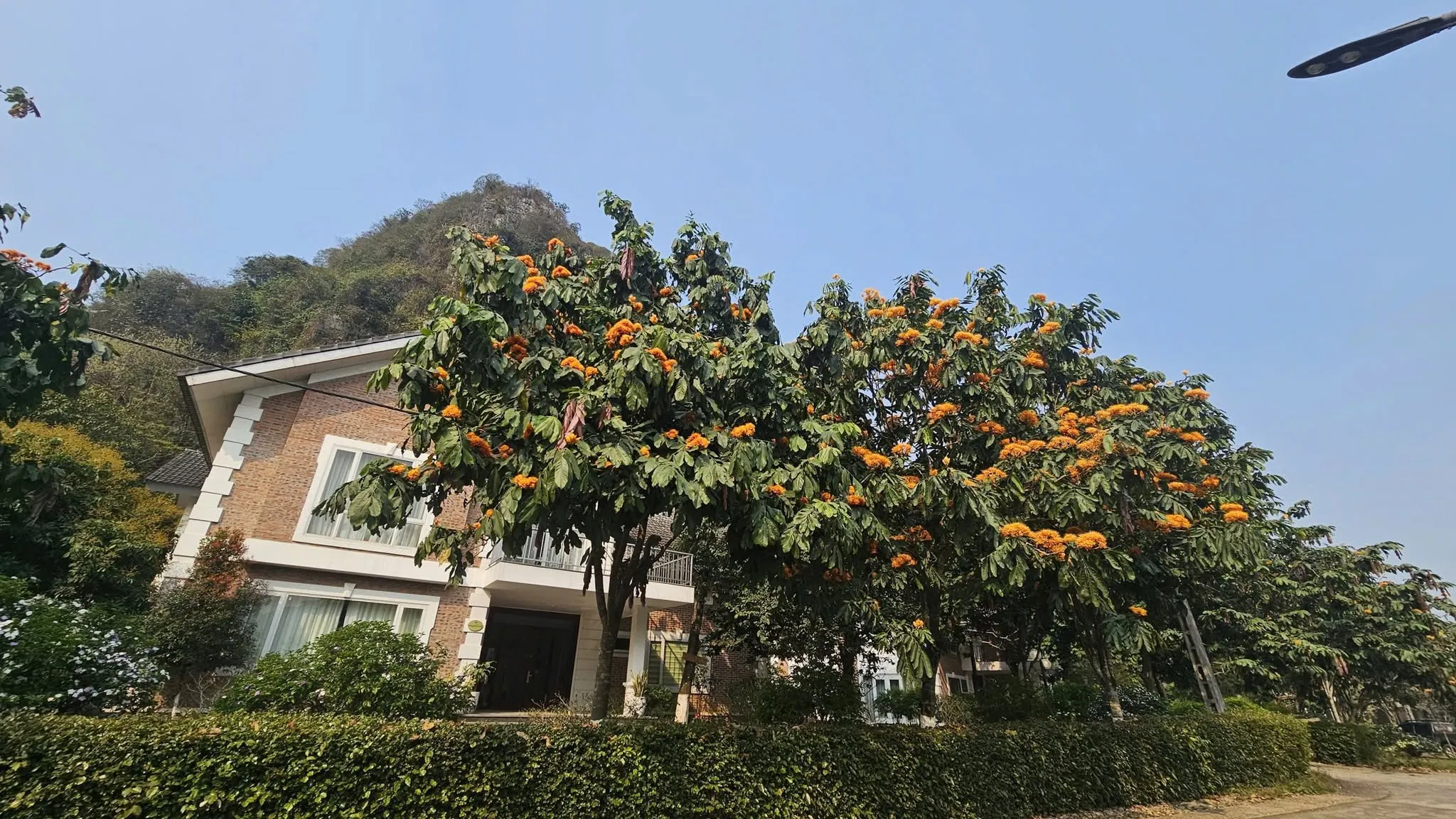 Khu villa