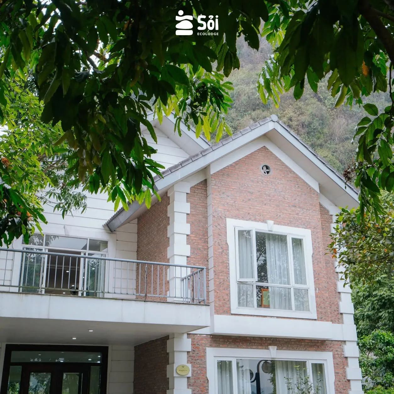 Villa Hoa Cúc 