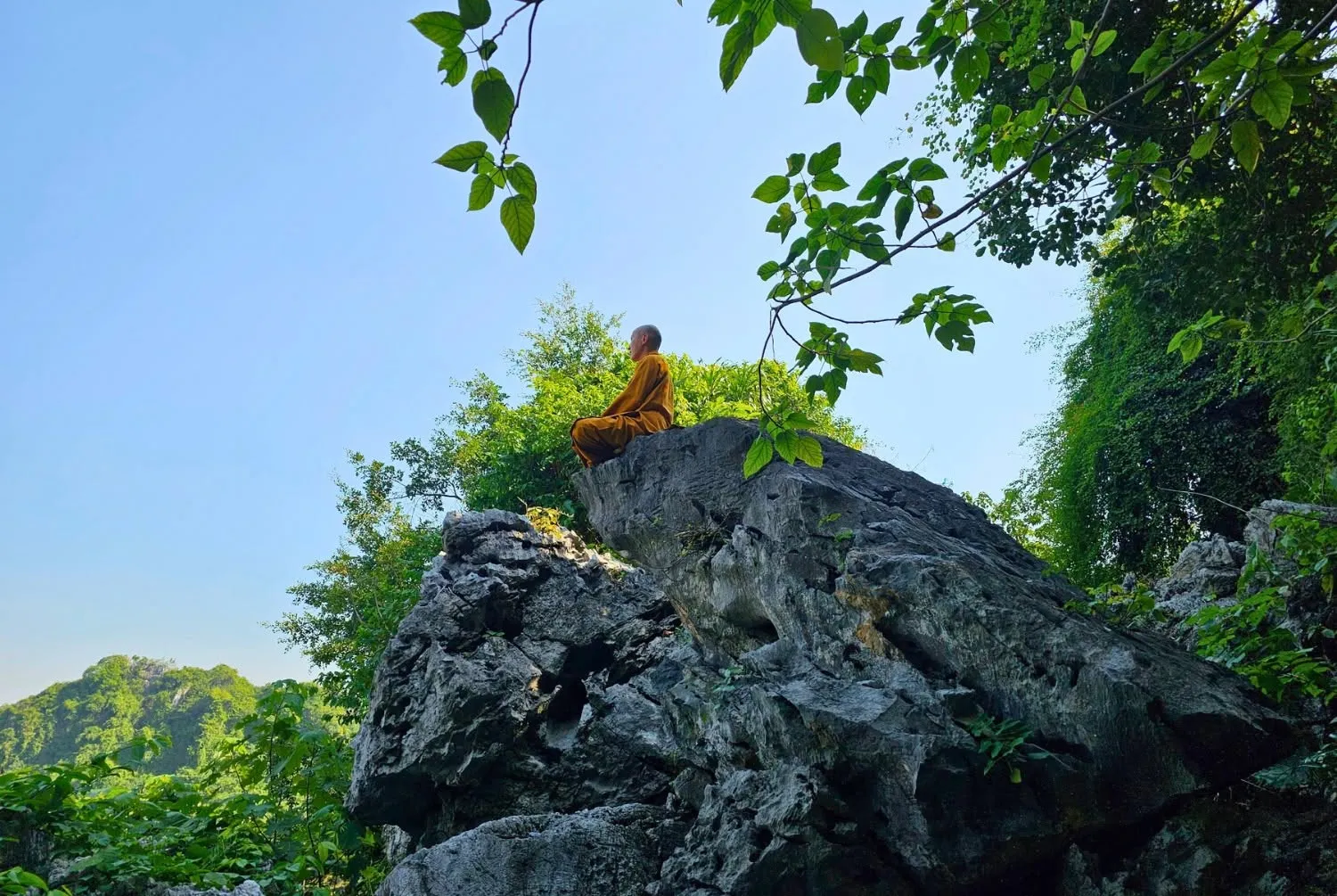 Thiền hành giữa thiên nhiên